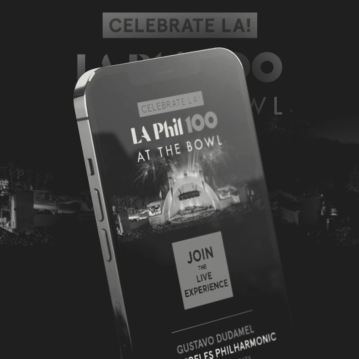 Portfolio Entry: LA Philharmonic 100th