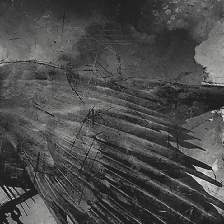 Portfolio Entry: The Propagation of Light Through the Ether of Emotion