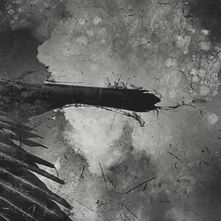 Portfolio Entry: Planck Length