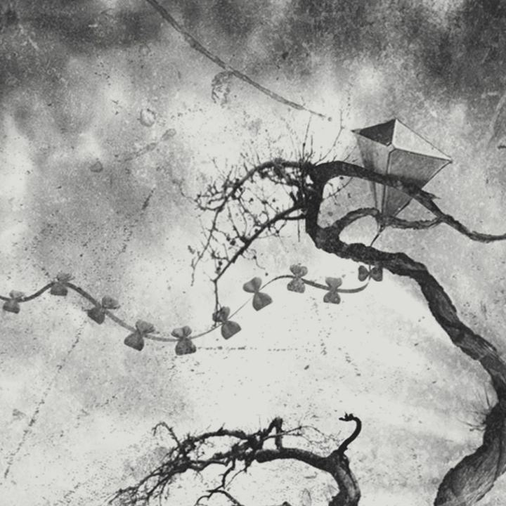 Portfolio Entry: A Mile from Here is a Hole Where I Buried Your Love