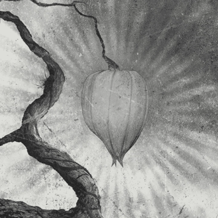 Portfolio Entry: Hit and Miss