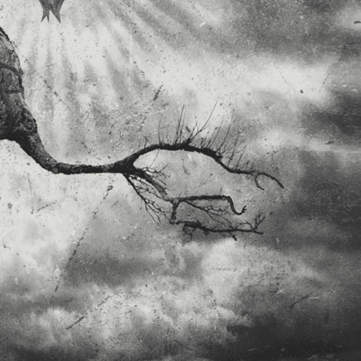 Portfolio Entry: Everything Always Moving